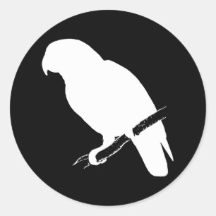 Sticker Rond B&W Parrot