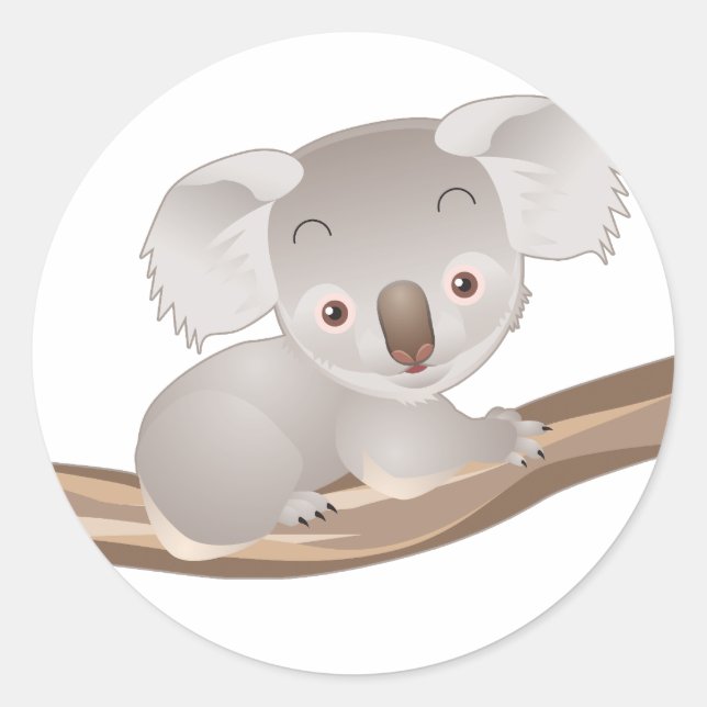 Sticker Rond Baby Koala (Devant)