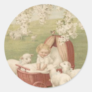 Sticker Rond Baby Lamb Dogwood Tree Field