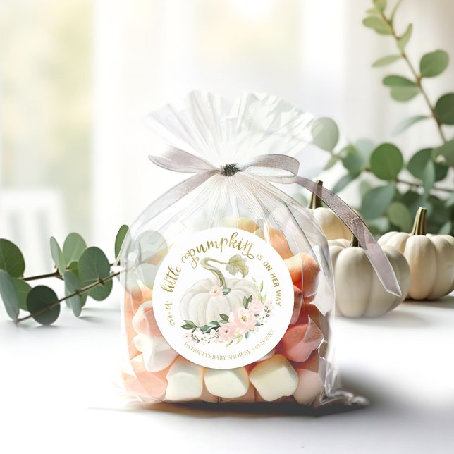 Sticker Rond Baby shower d'automne rose Floral Petit Citrouille (Créateur téléchargé)