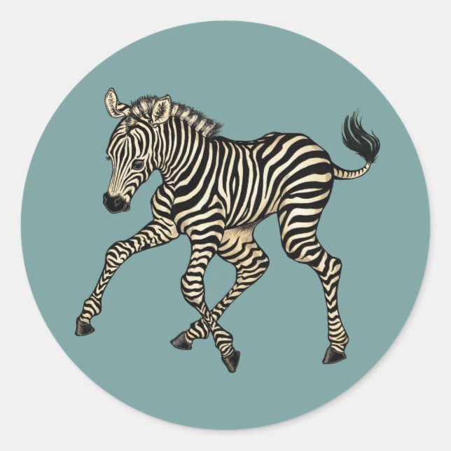 Sticker Rond Baby Zebra (Devant)