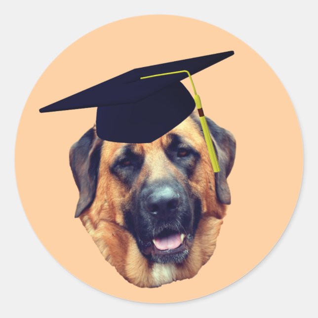 Sticker Rond Bac de graduation pour chien Mastiff américain (Devant)