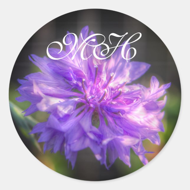Sticker Rond Bachelors Button Cornflower (Devant)