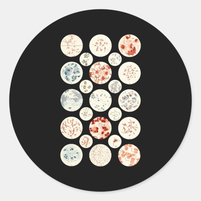 Sticker Rond Bactérie Microbiologie Bactérie Science Minuscule  (Devant)