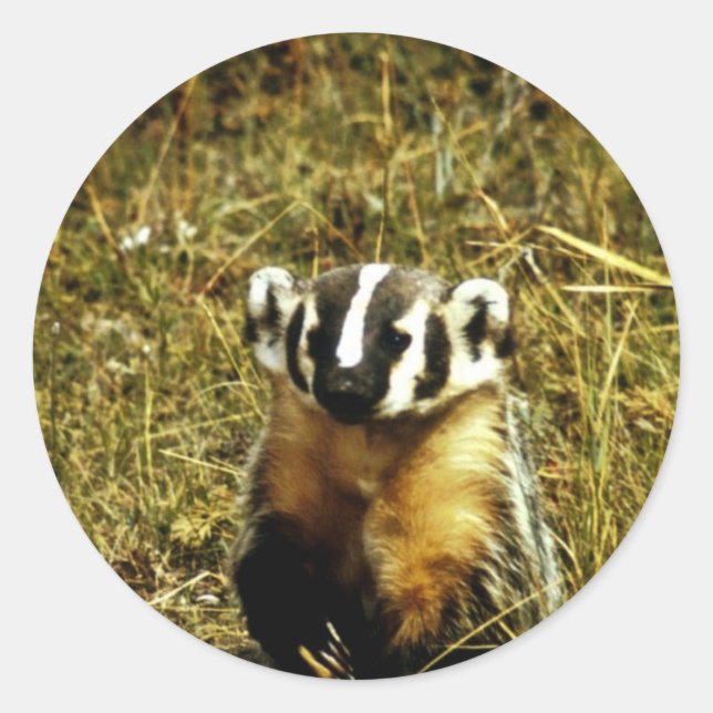 Sticker Rond Badger (Devant)