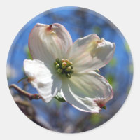 Baguette blanche Fleur de Dogwood