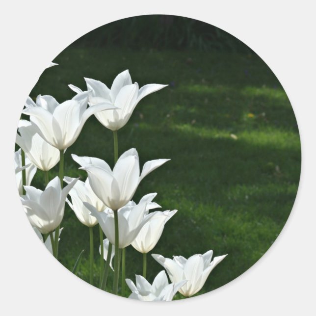 Sticker Rond Baguette blanche Mariage tulipe (Devant)