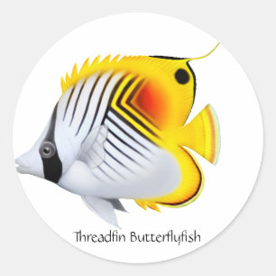 Sticker Rond Baguette Threadfin Auriga Papillon poisson personn
