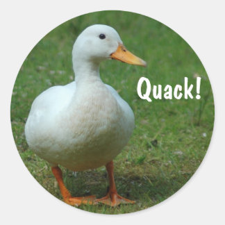 Sticker Rond Baguettes de canard blanc mignonnes