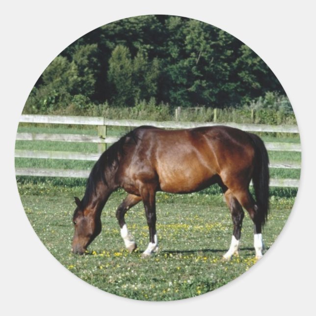 Sticker Rond Baie de pâturage avec Chaussettes blanches (Devant)