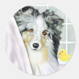 Sticker Rond Baignoire Merle Sheltie