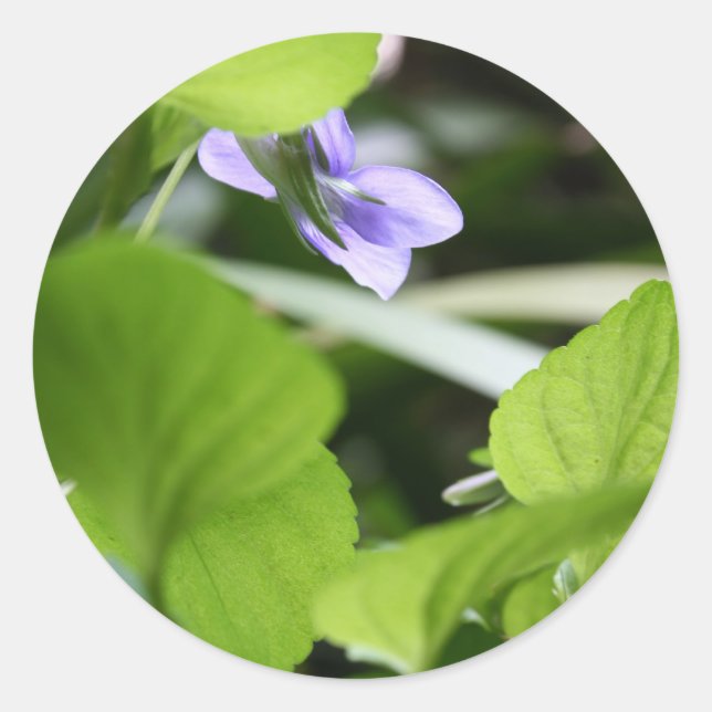 Sticker Rond Bain de soleil ? (Devant)