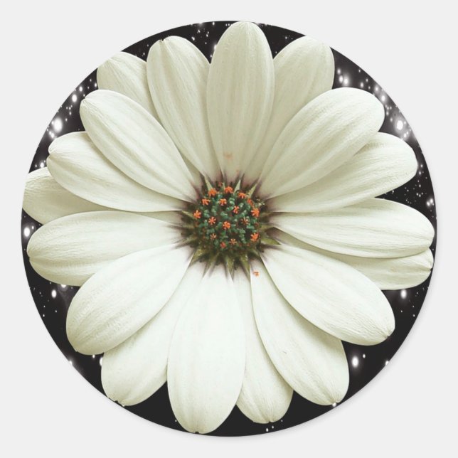 Sticker Rond Baise blanche (Devant)