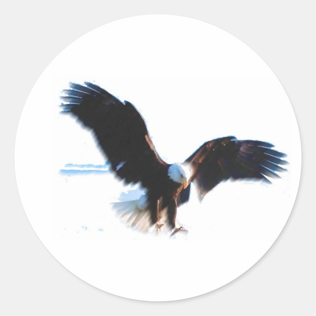 Sticker Rond Bald American Eagle Landing (Devant)