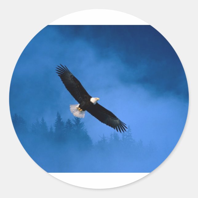 Sticker Rond Bald-Eagle-Alaska (Devant)