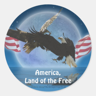 Sticker Rond BALD EAGLE & US FLAG Patriot Series