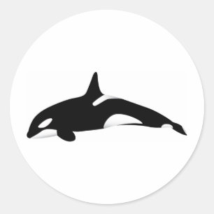 Sticker Rond Baleine tueuse