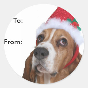 Sticker Rond Balises cadeau beagle Puppy