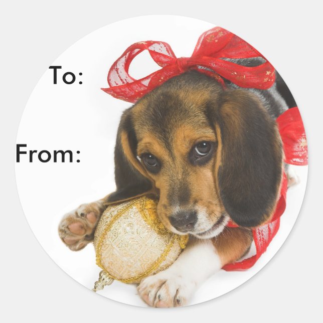 Sticker Rond Balises cadeau beagle Puppy (Devant)