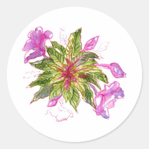 Sticker Rond Balsam Bouquet