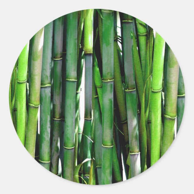 STICKER ROND BAMBOU (Devant)
