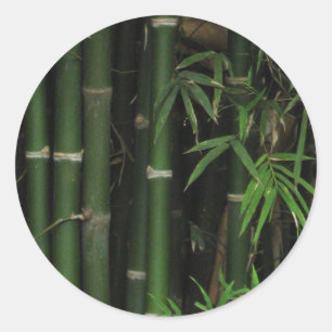 Sticker Rond Bambou... Fao Rai, Nong Khai, Isaan, Thaïlande