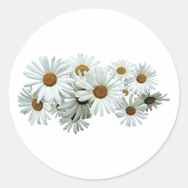 Sticker Rond Bande de marguerites blanches (Devant)