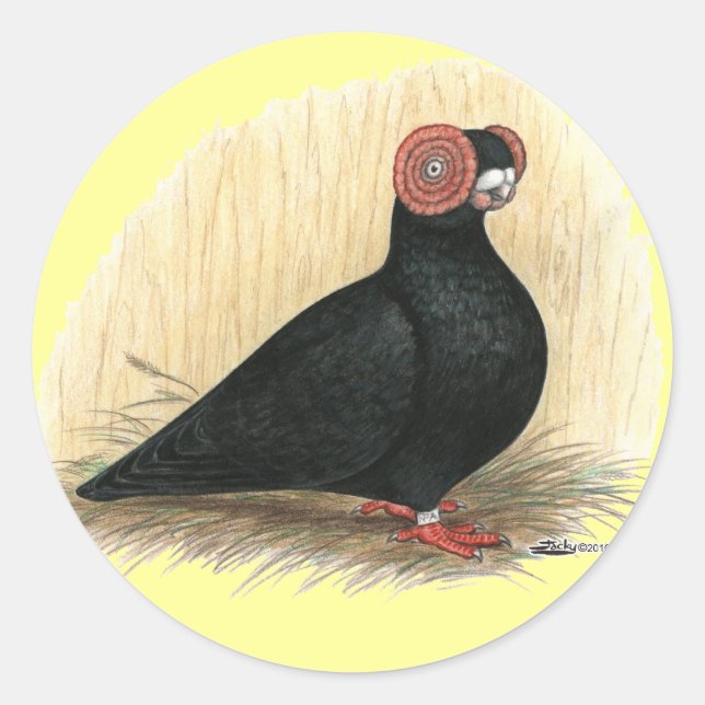 Sticker Rond Barb Pigeon Standard Noir (Devant)
