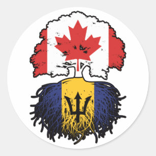 Sticker Rond Barbade Barbadien Canadian Canada Tree Roots Drape