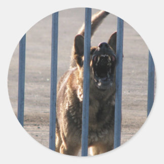 Sticker Rond Barking