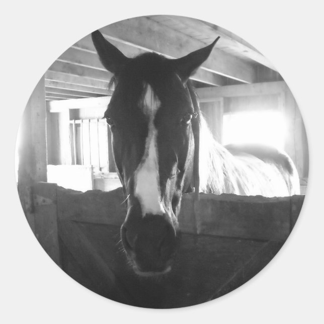 Sticker Rond Barn Horse (Devant)