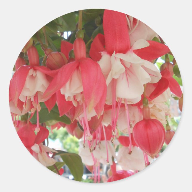 Sticker Rond Bashkirtseff (Devant)