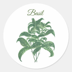 Sticker Rond Basil Herbs Verdure Cuisine verte Plante