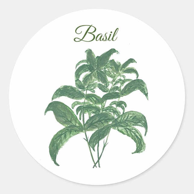 Sticker Rond Basil Herbs Verdure Cuisine verte Plante (Devant)