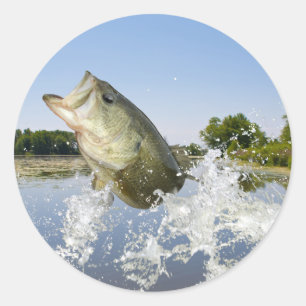 Sticker Rond Bass Jump 2013