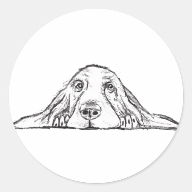 Sticker Rond basset blanc (Devant)