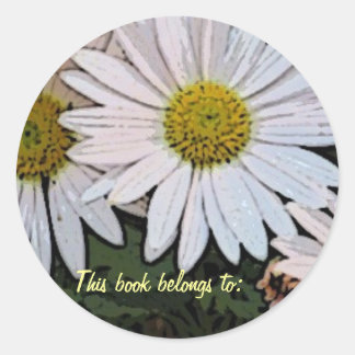 Sticker Rond BC- Ce livre appartient à : daisy design