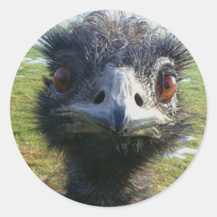 Sticker Rond Beady Eyes EMU