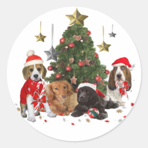 Sticker Rond Beagle, Basset, Cocker Noël