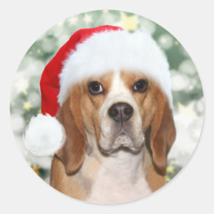 Sticker Rond Beagle en chapeau de Noël