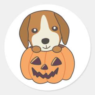 Sticker Rond Beagle En Chiens Doux Citrouilles Bonne Classe Hal