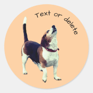 Sticker Rond Beagle Howling Dog Personnalisé