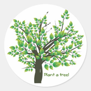 Sticker Rond Beau arbre de printemps