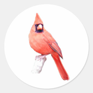 Sticker Rond Beau Cardinal