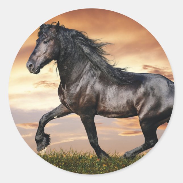 Sticker Rond Beau Cheval Noir (Devant)