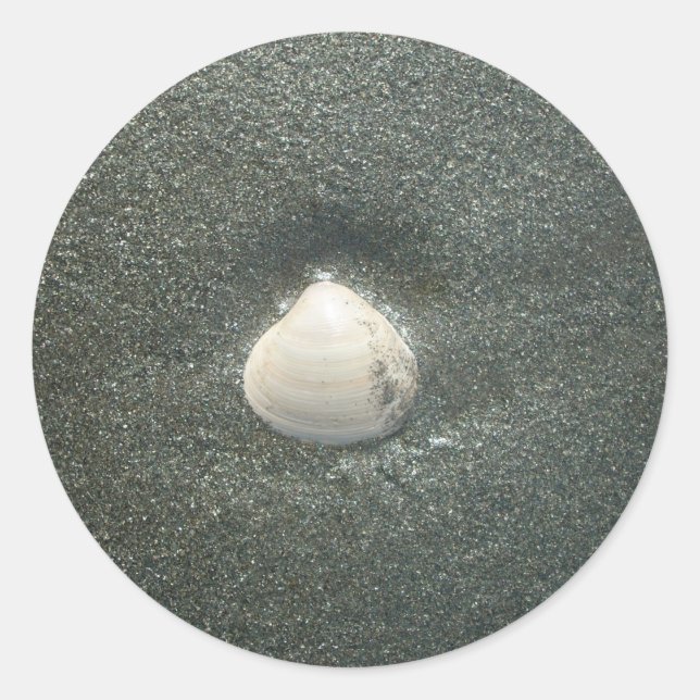 Sticker Rond Beau coquillage dans le sable : Un souvenir salé (Devant)