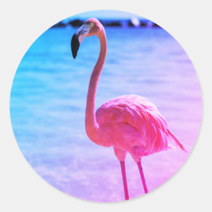 Sticker Rond Beau Flamant rose dans l'eau sur une plage