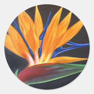 Sticker Rond Beau Oiseau Floral De Paradise Fleur Tropical