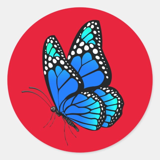 Sticker Rond Beau papillon illustré (Devant)