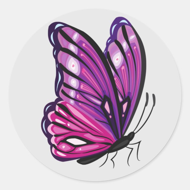 Sticker Rond Beau papillon illustré (Devant)
